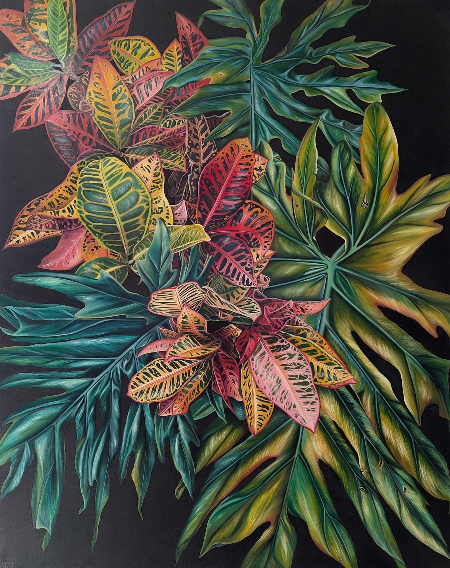 z-Sol Gallery - Lo Que El Jardin Me Da